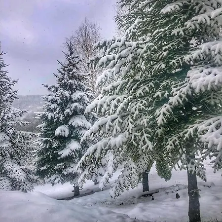 Szarvaslak